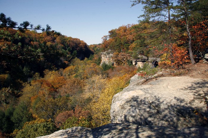 Conkle’s Hollow