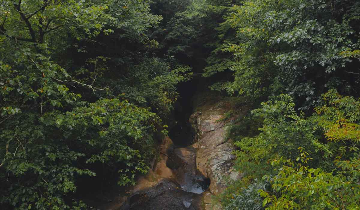 Clear Creek Metro Gallery
