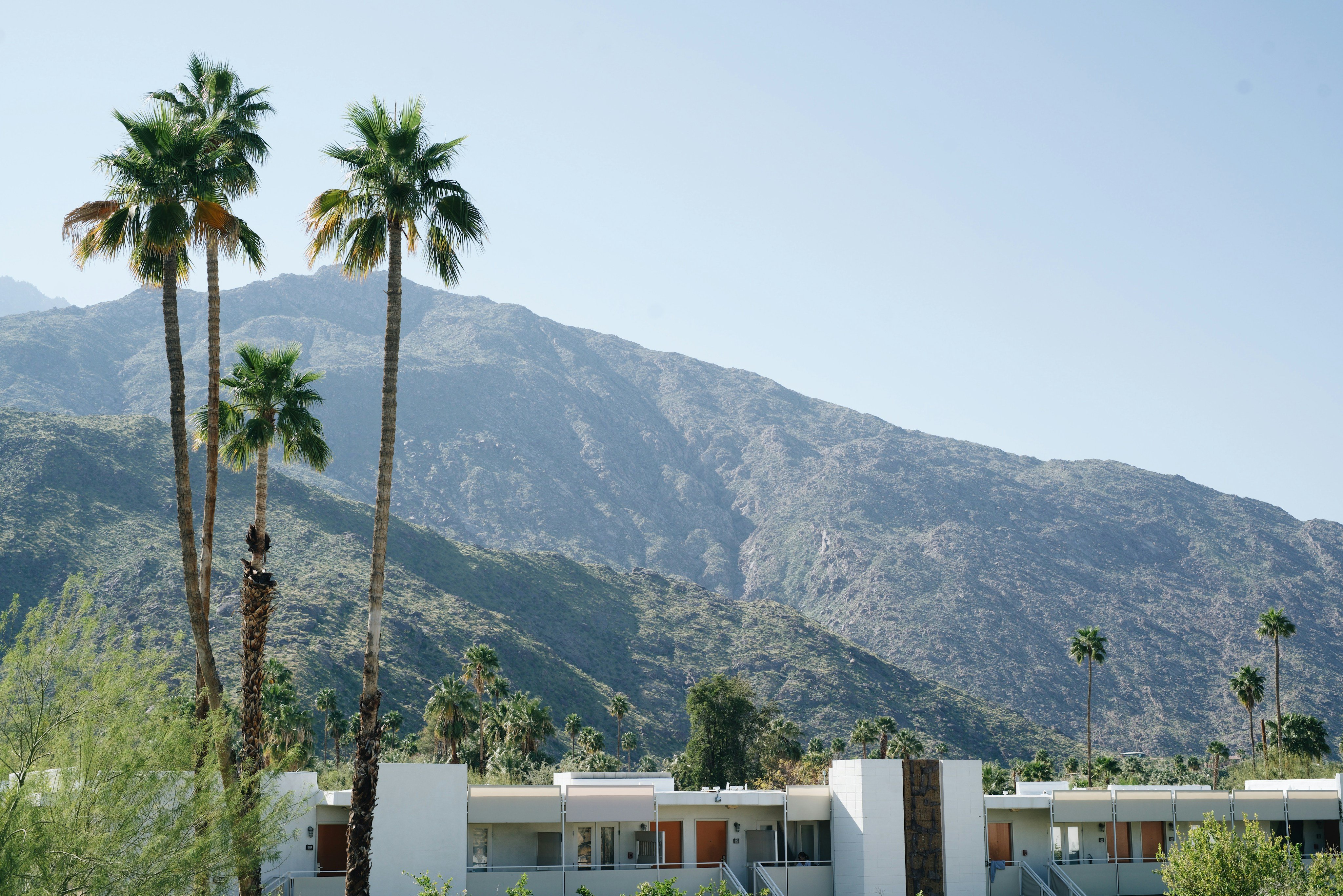 Palm Springs downtown mid-century building with palms and mountains