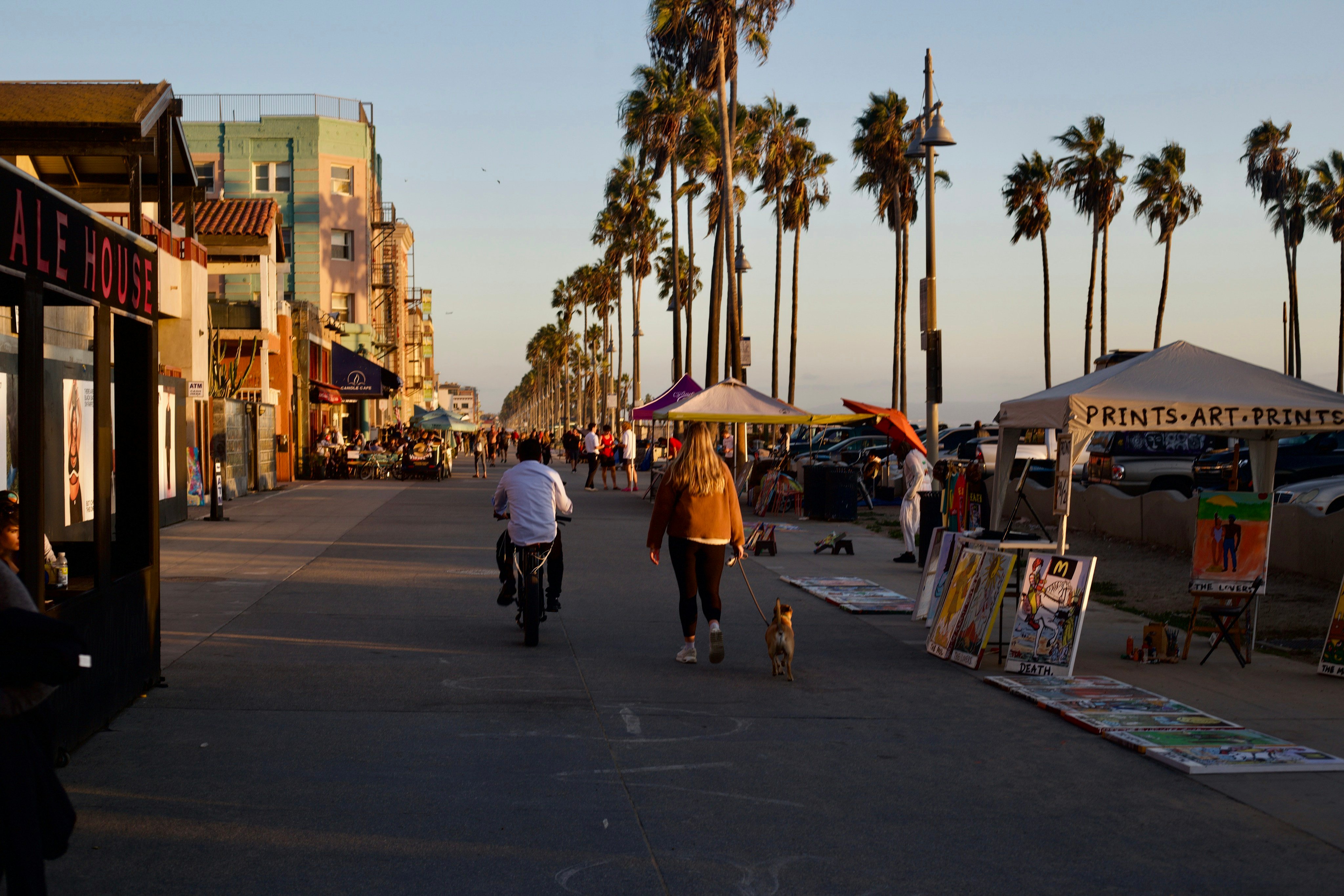 California outdoor street market with palm trees