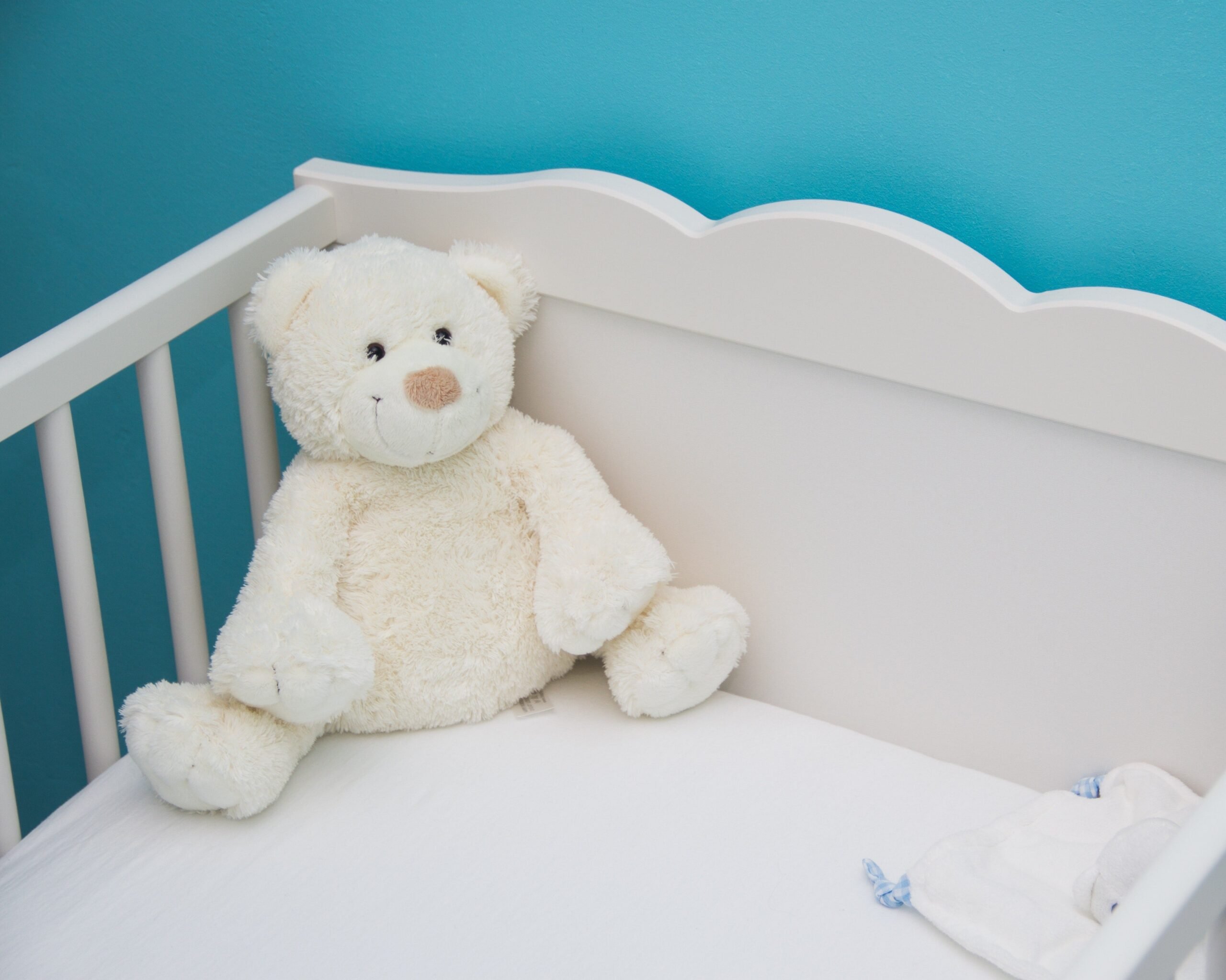 Baby Gear Rentals