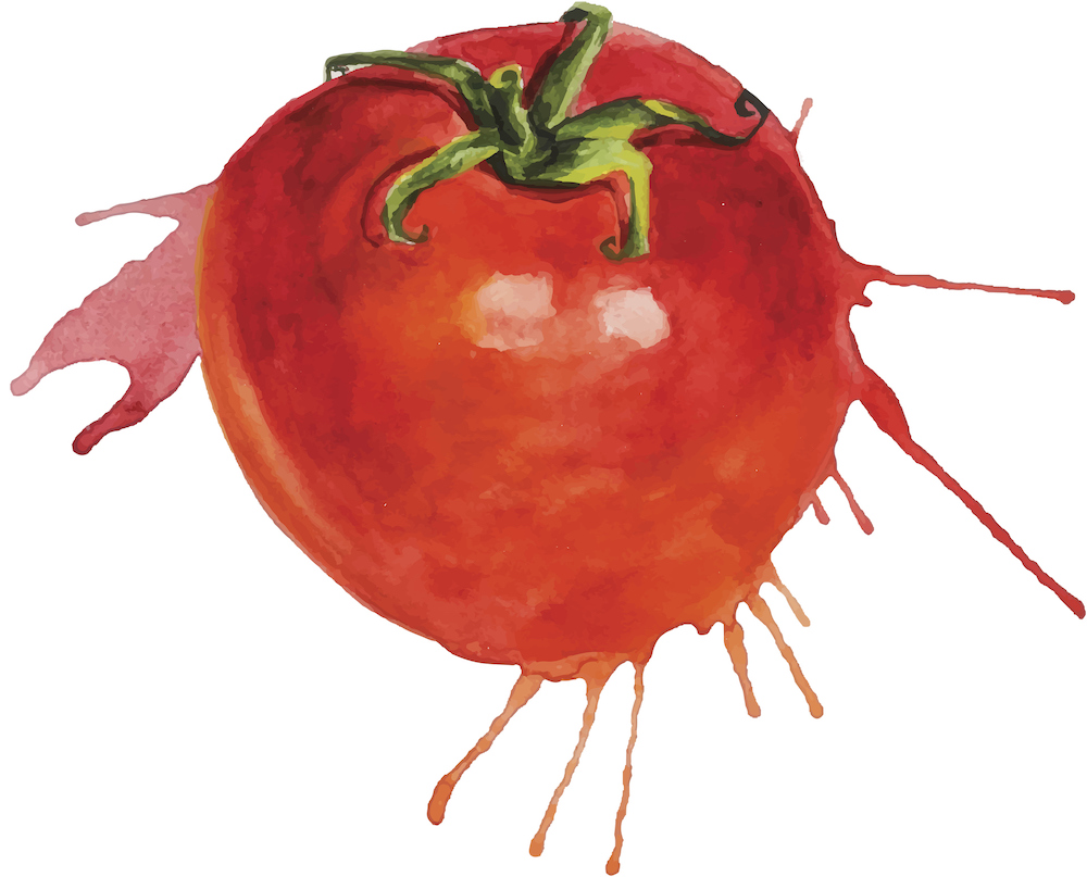 Tomato Art Fest