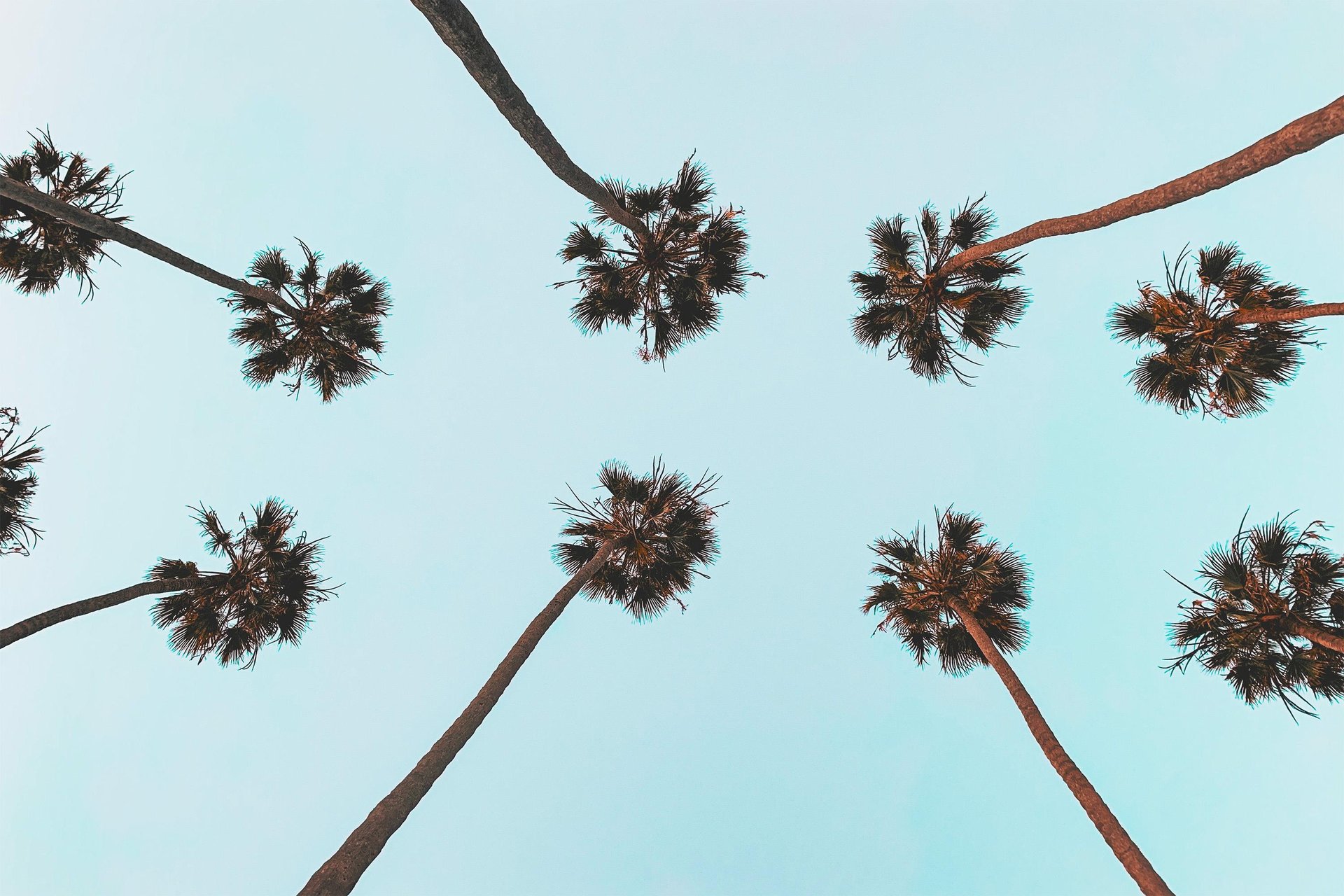 PalmSpringsCelebrityTours