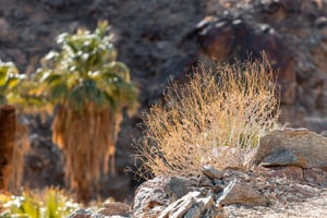 228238 Trails At The Cv Preserve