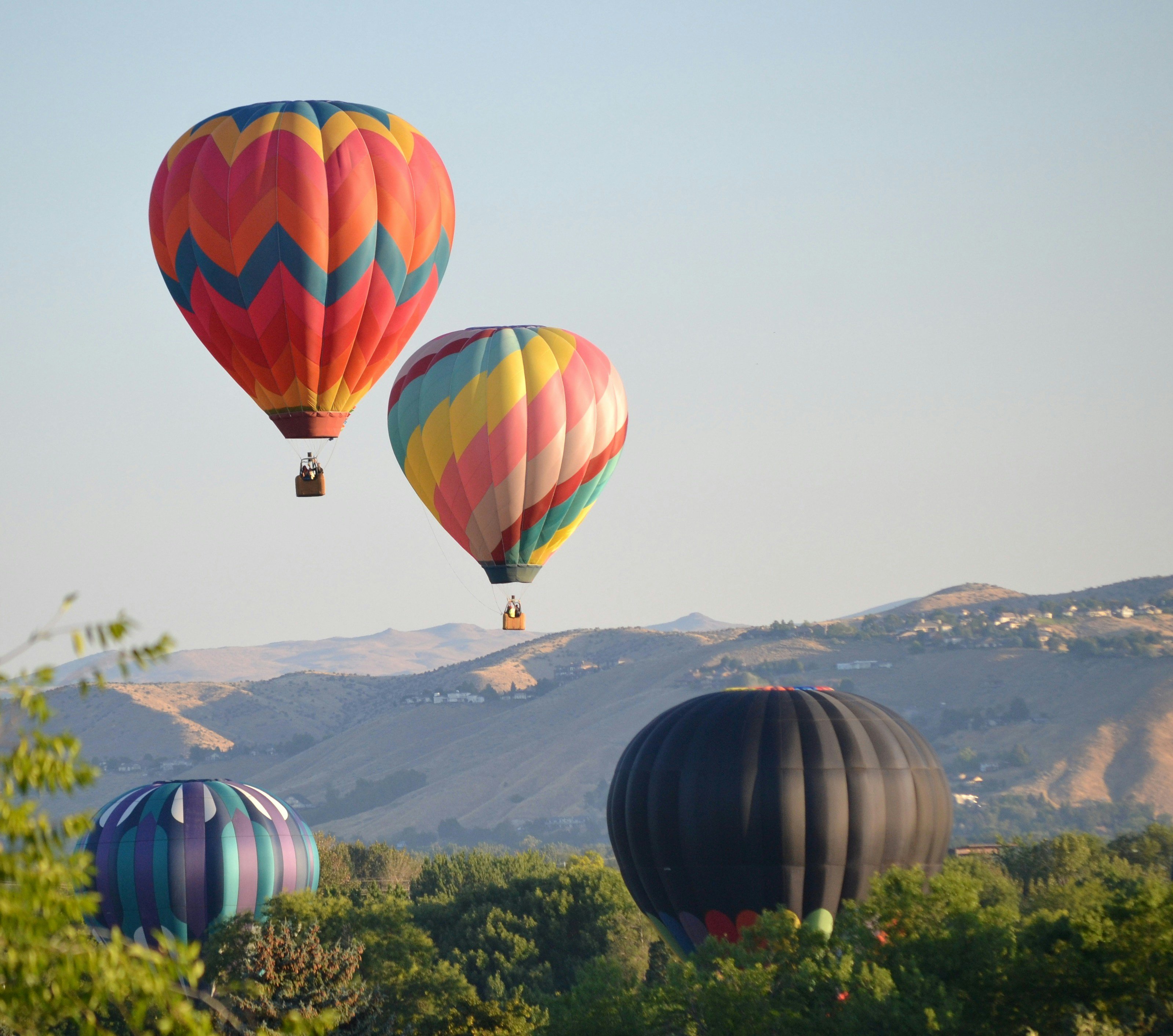 Hot air balloons rising over rolling hills at dawn