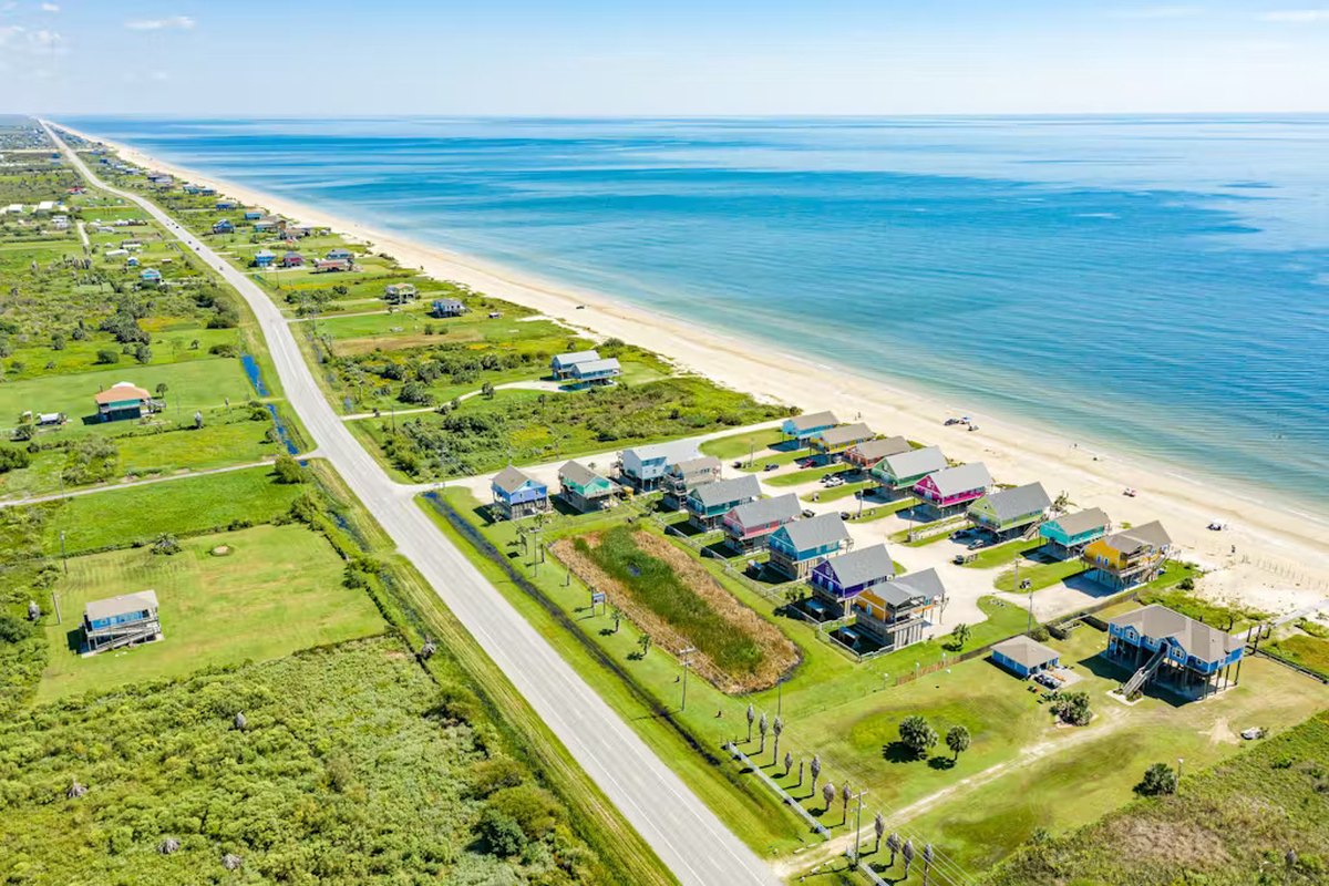 6 Birds That Make the Bolivar Peninsula a Must-Visit for Birdwatchers