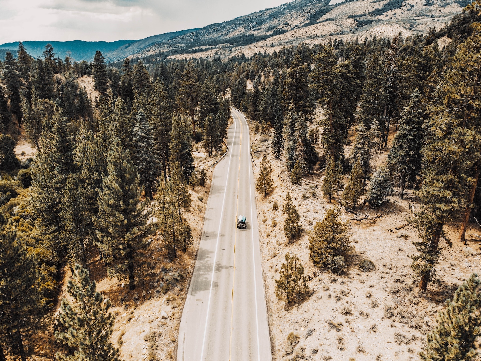 Scenic Drives in Big Bear