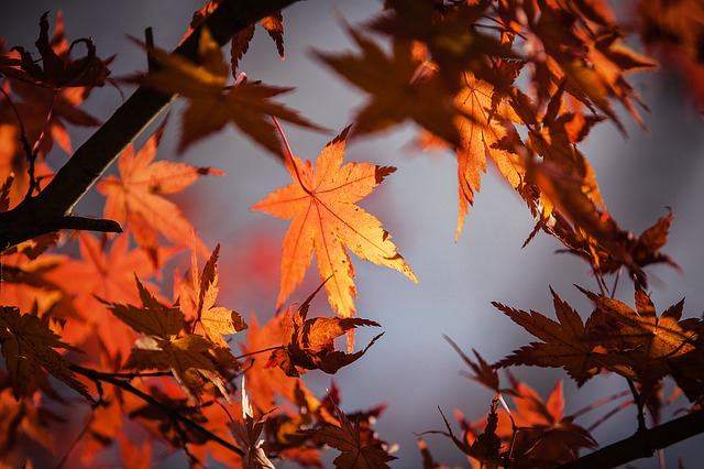 Getting Ready for Fall – The Five Best Things About Fall in Big Bear