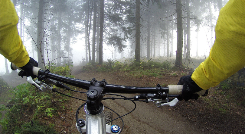 Big Bear Spots, Off the Beaten Path, that Only Locals Know About
