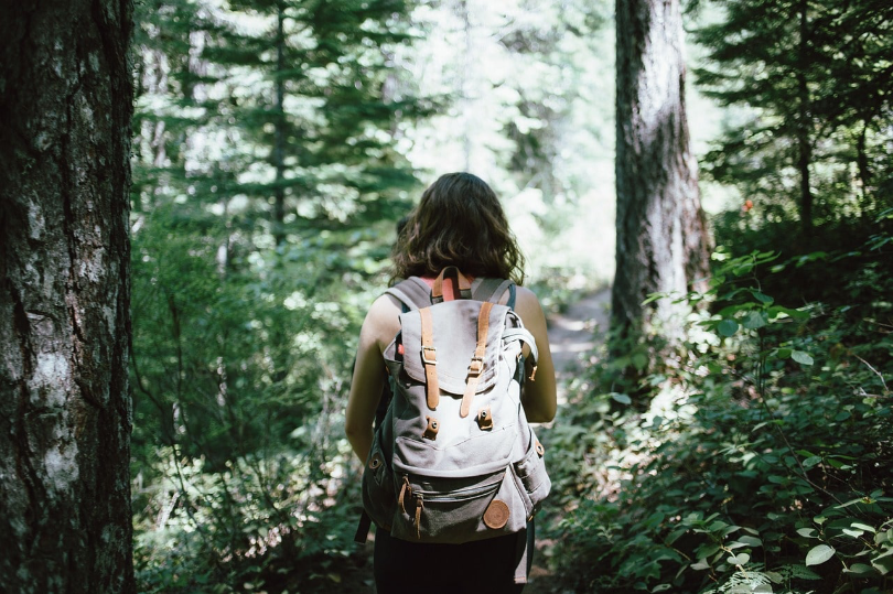 Top Big Bear Hiking Trails This Fall
