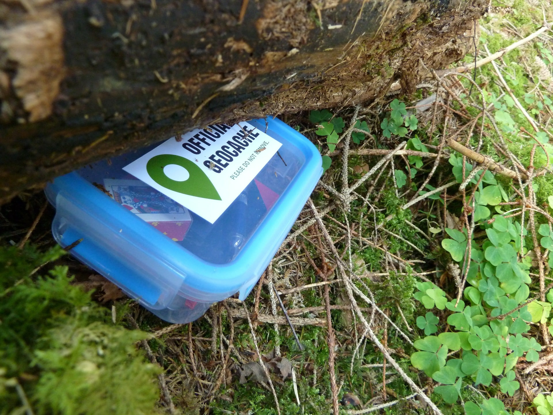 Big Bear Things to Do: Geocaching