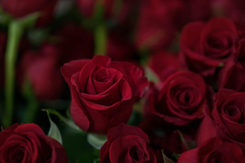 Make Valentine’s Day 2024 Special in Big Bear