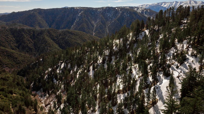 All Roads Open to Big Bear with Plenty of Snow Resorts Open Through April