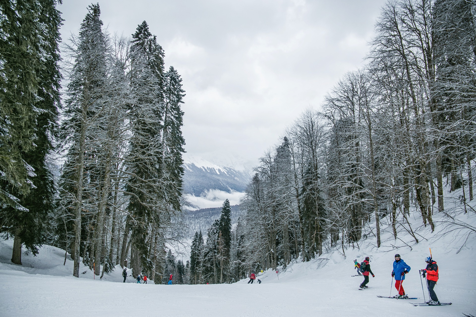 Guide To Big Bear Things To Do In Winter