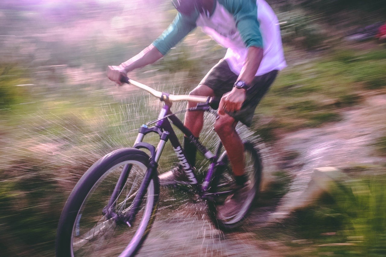 Big Bear Biking Trails