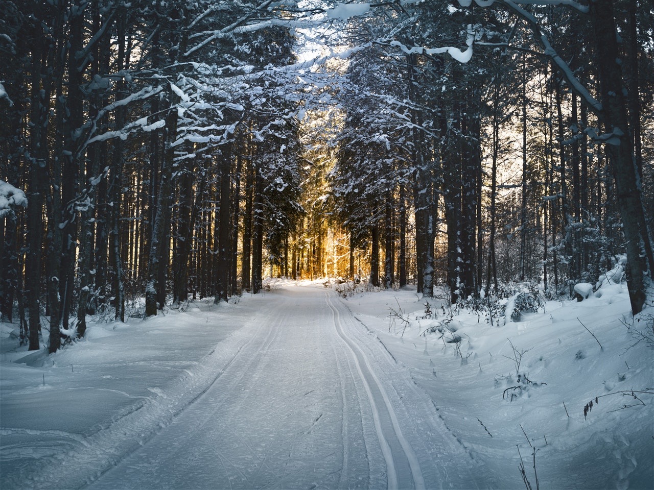 Snowshoe Tours in Big Bear