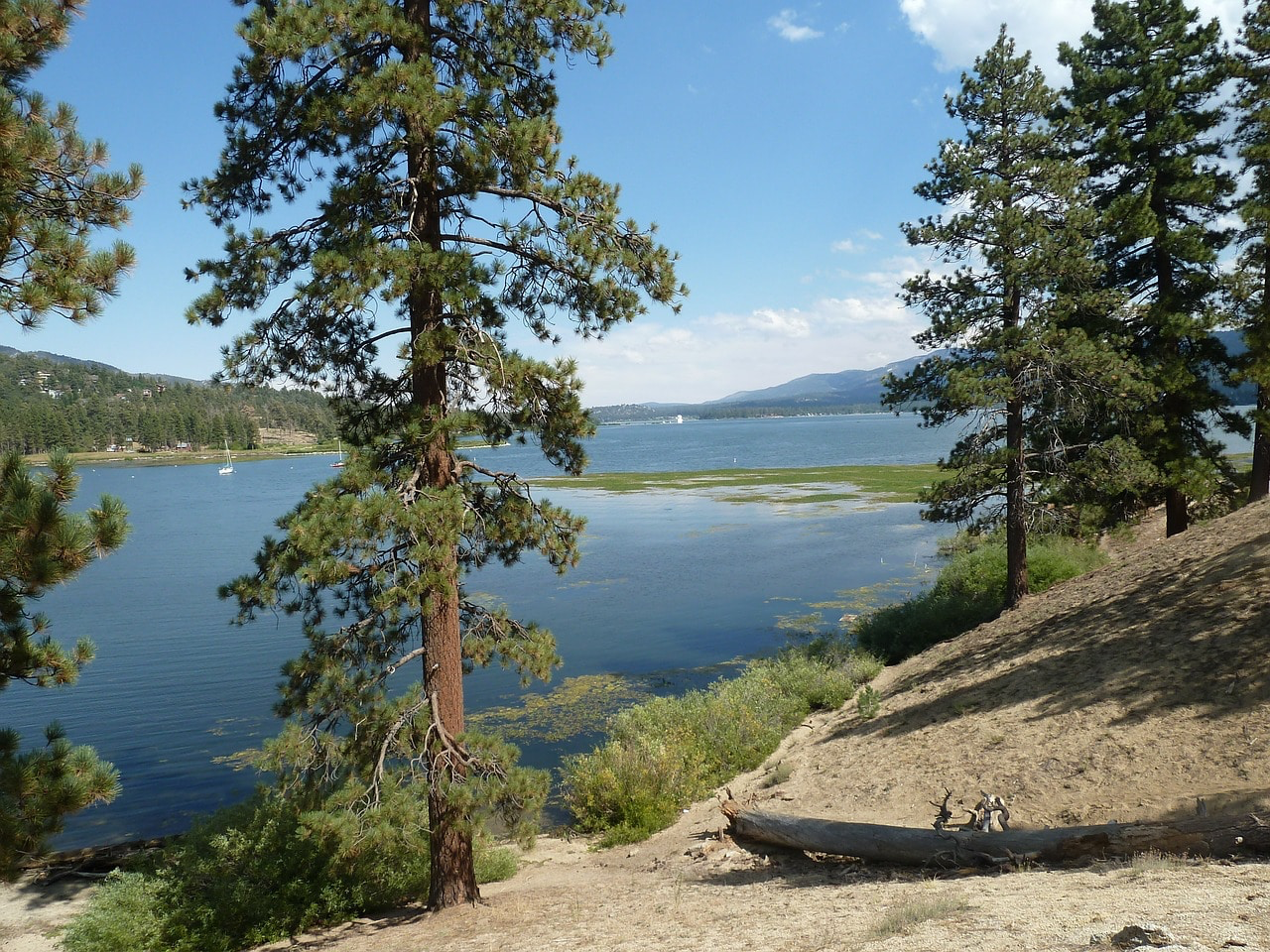 Swimming in Big Bear Lake