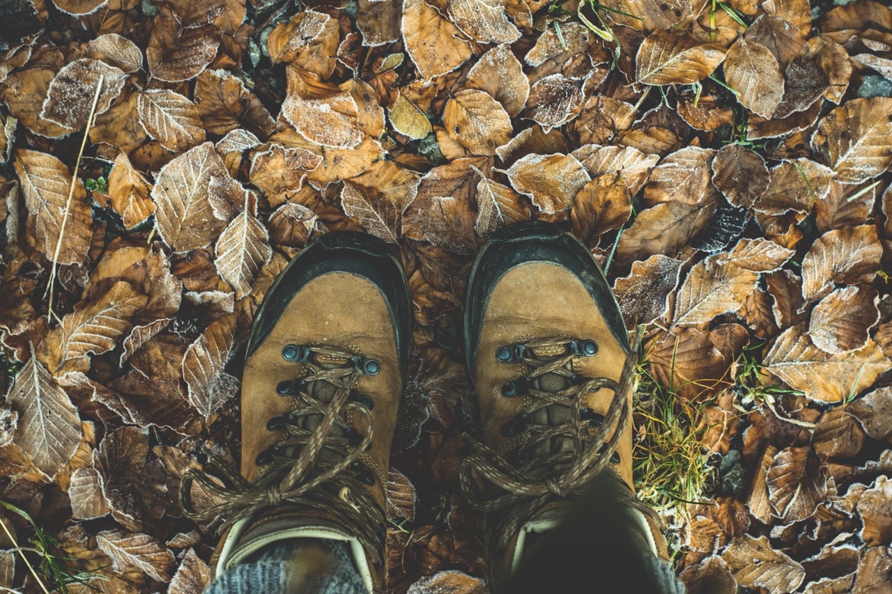 Hiking Trails