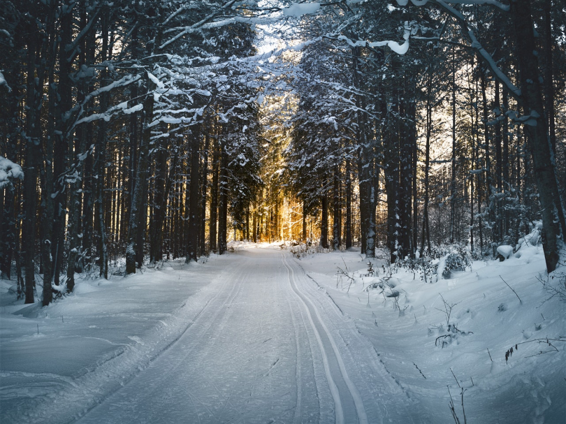 Activities to Enjoy Before the Snow Arrives