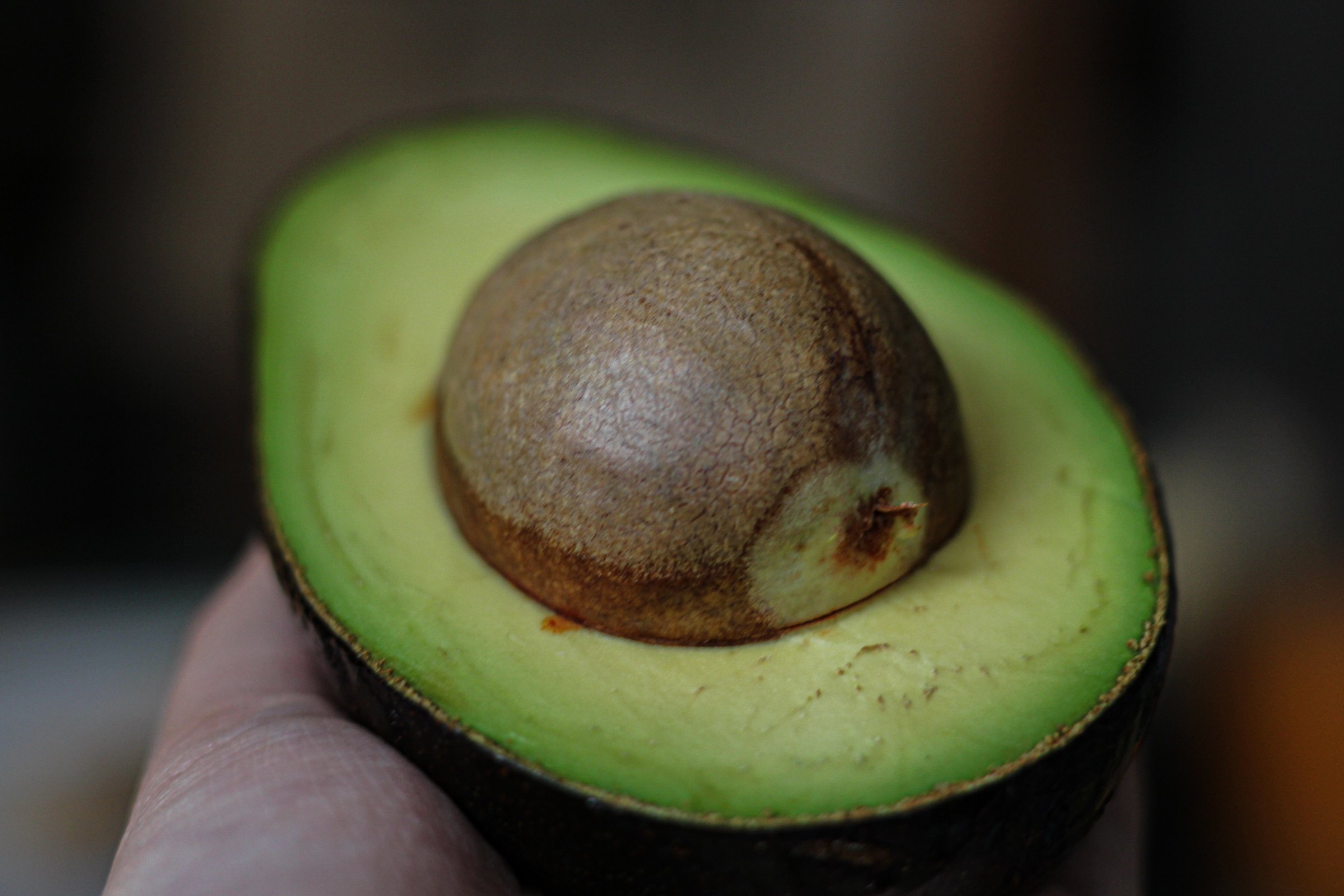 Haas Avocado