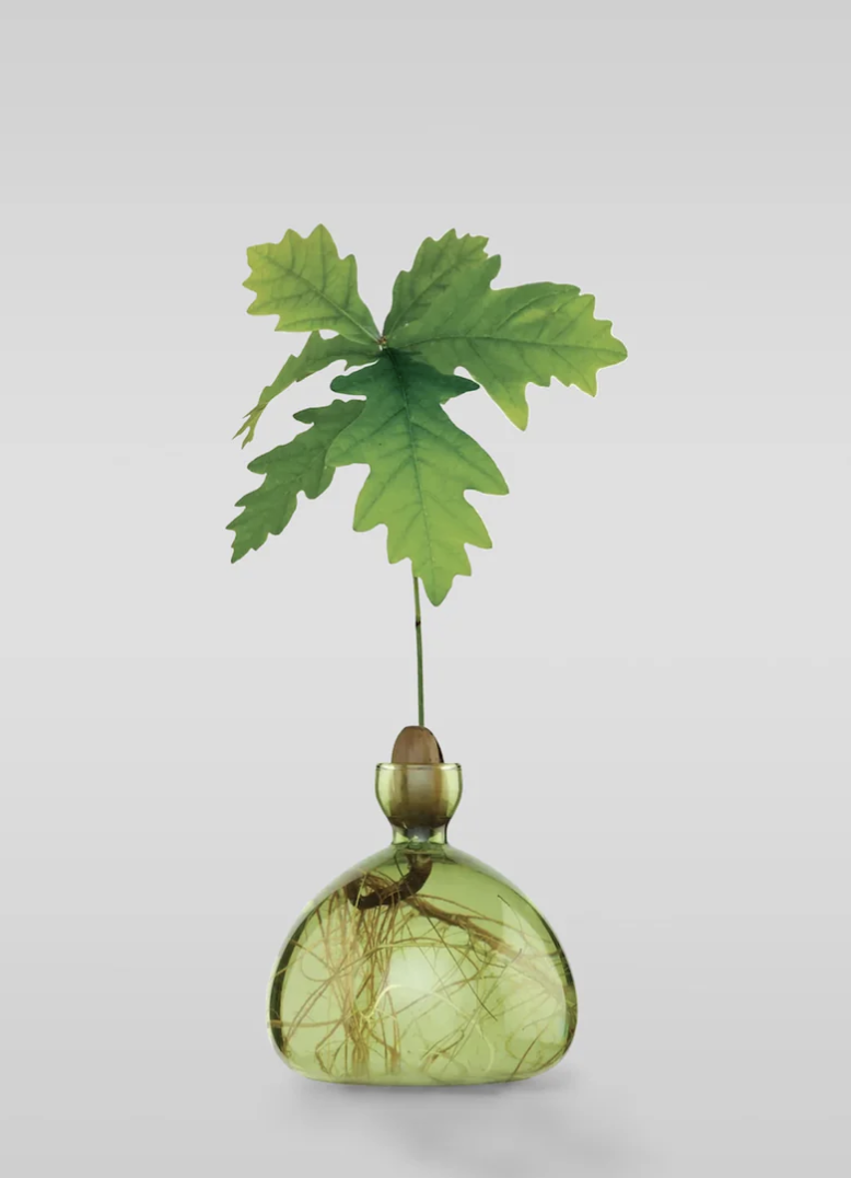 Acorn vase-Spring Lilac
