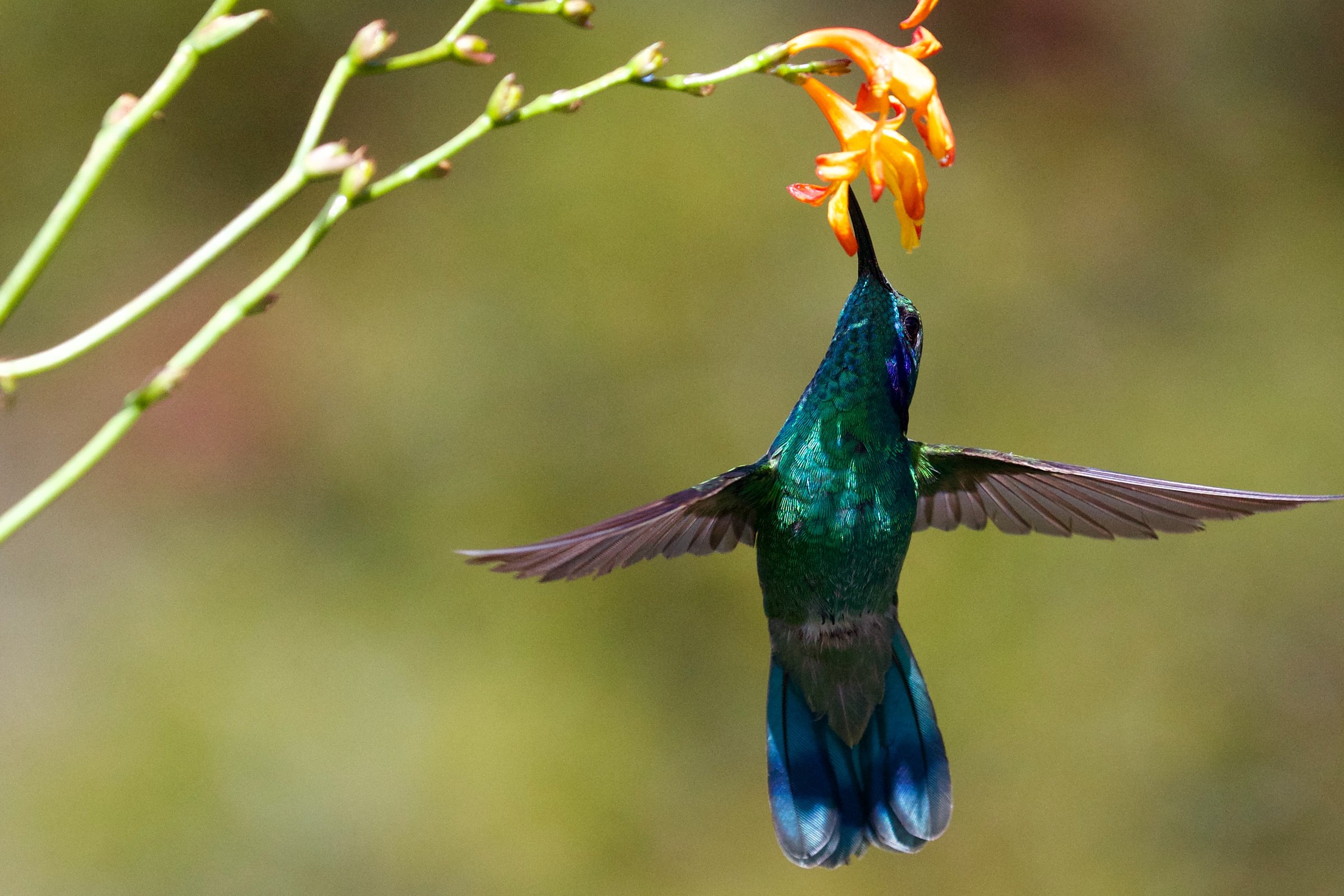 Image by James Wainscoat