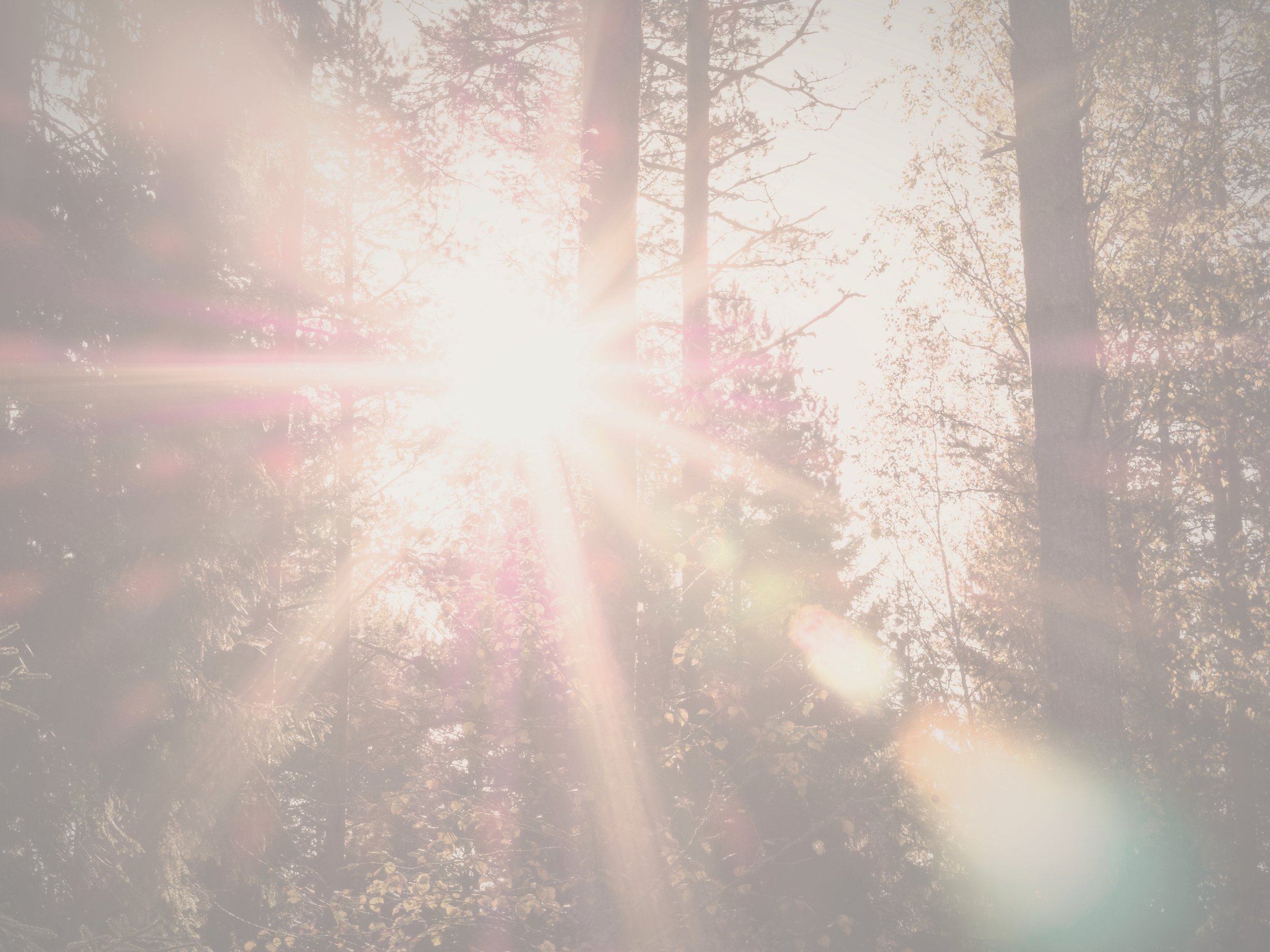 Lens flare_edited_edited_edited.jpg