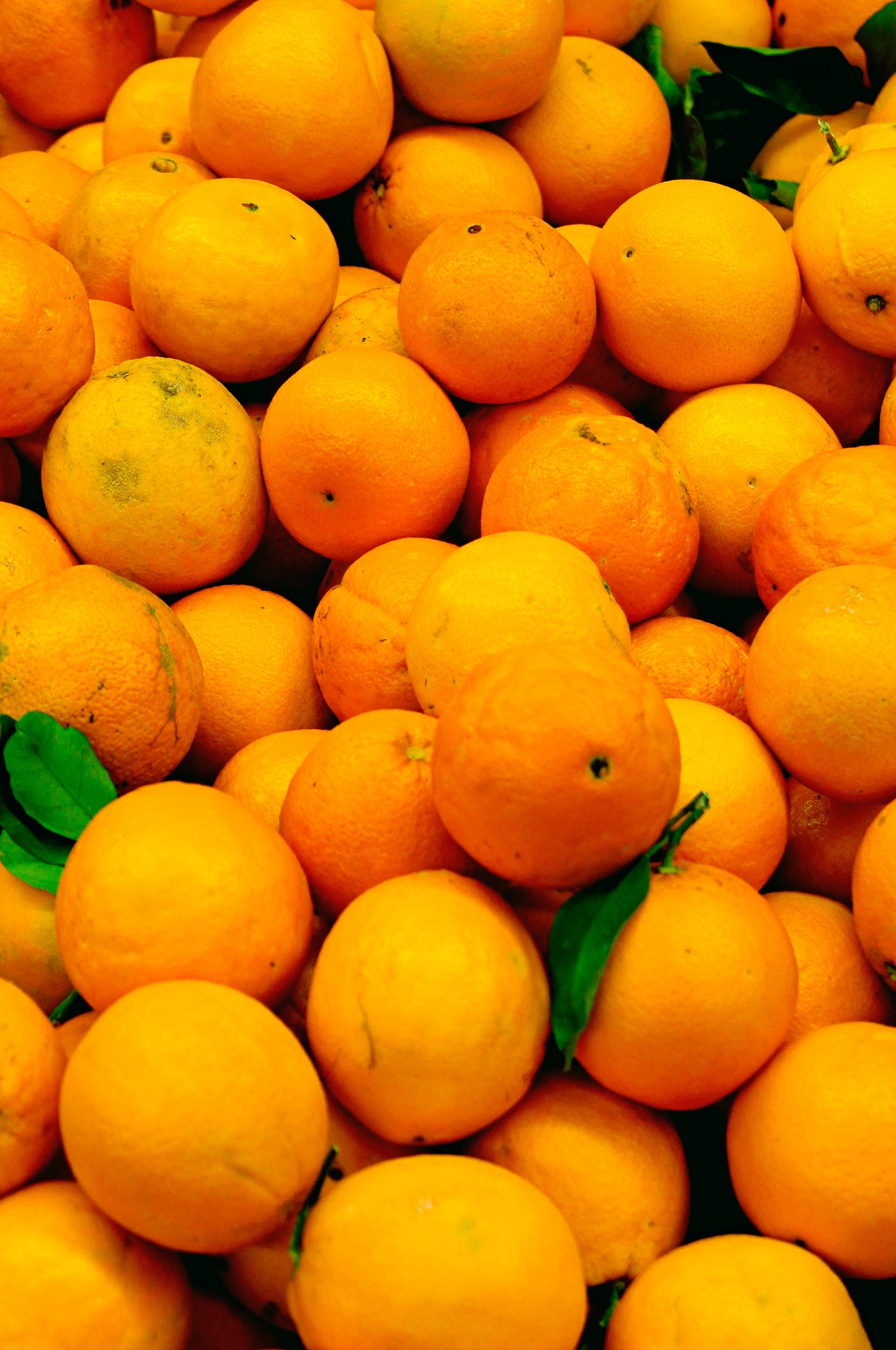 Oranges