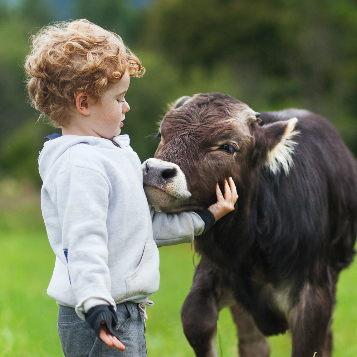 Care Farming