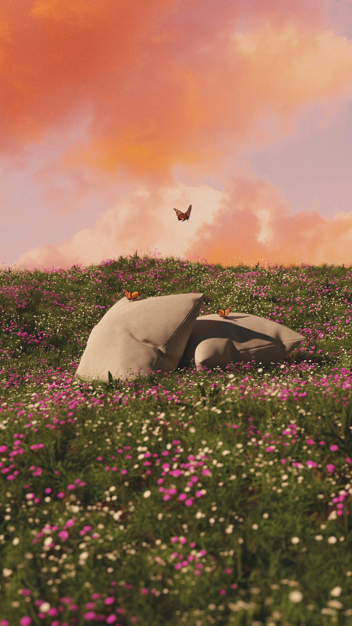 Butterflies in Flower Field