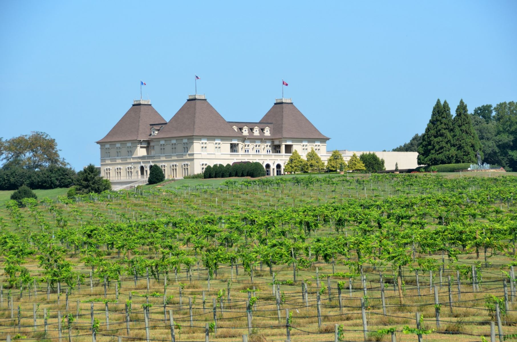 VINEYARDS, BREWERIES & ORCHARDS