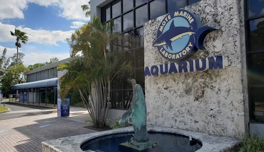 Mote Marine Laboratory & Aquarium