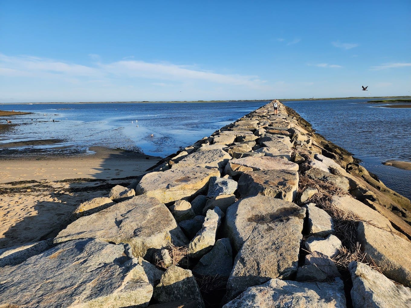 Provincetown Causeway
