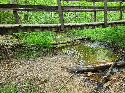 652951b0fc39195c95317eb0 mcamy lake trail and forest walk loop