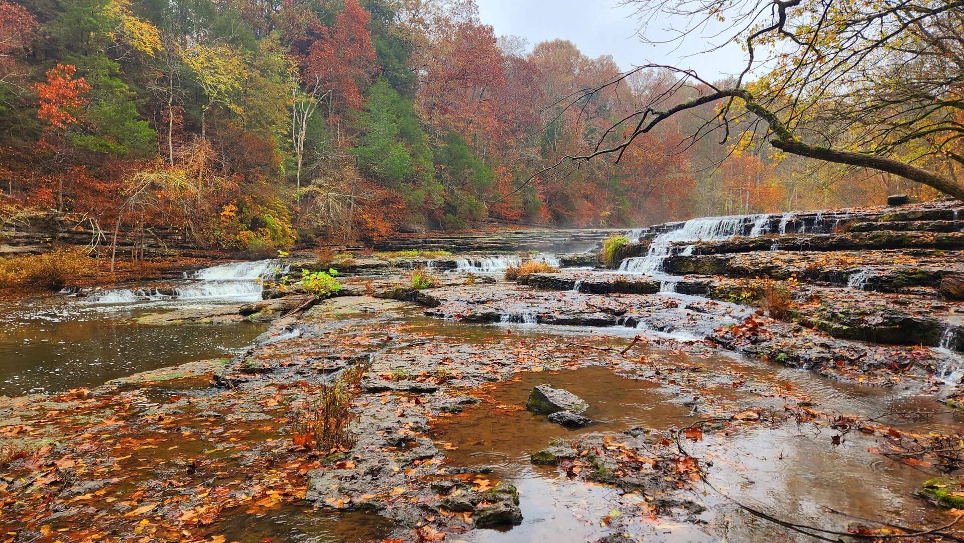 burgess falls trail