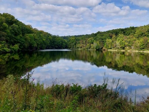 65297972e05d1bfcf577a9ee clear creek rim rock slick rock benton tennessee