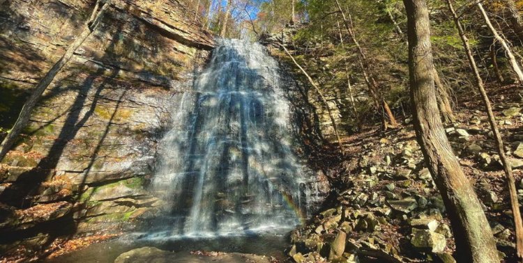 Denny Cove Falls