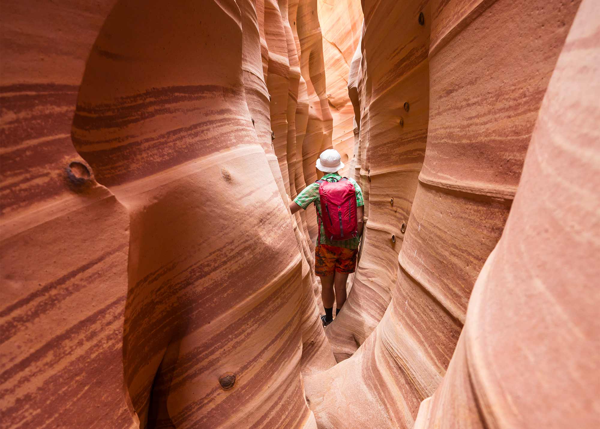 zebra slot canyon escalante utah