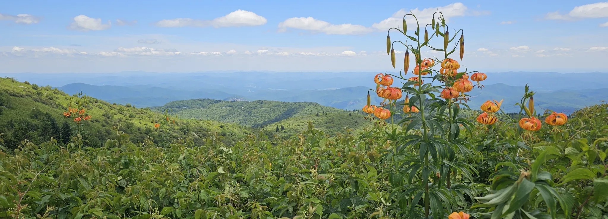 Black Balsam Knob via Art Loeb Trail