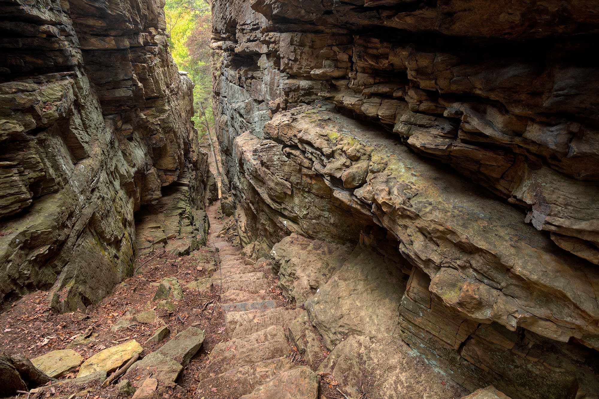 Narrow stone stairway descending through a dramatic natural rock crevice known as the Stone Door in Savage Gulf, Tennessee. Towering sandstone walls line both sides, with layered rock formations and soft forest light visible beyond the passage.