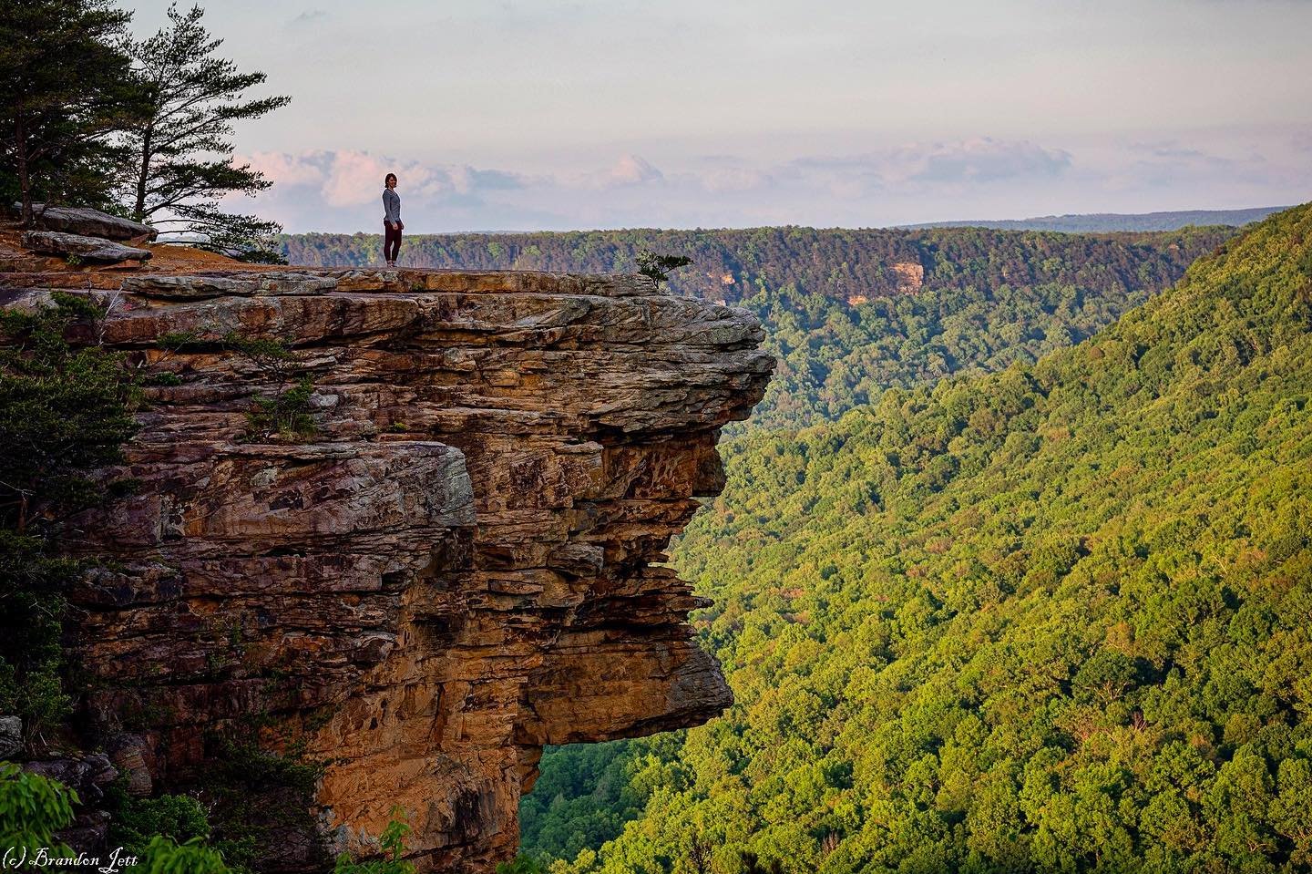 Savage Gulf State Park