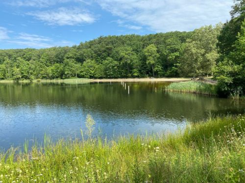 652979a9b0010ee40689d83f mccamy lake trail forest walk loop ocoee tennessee
