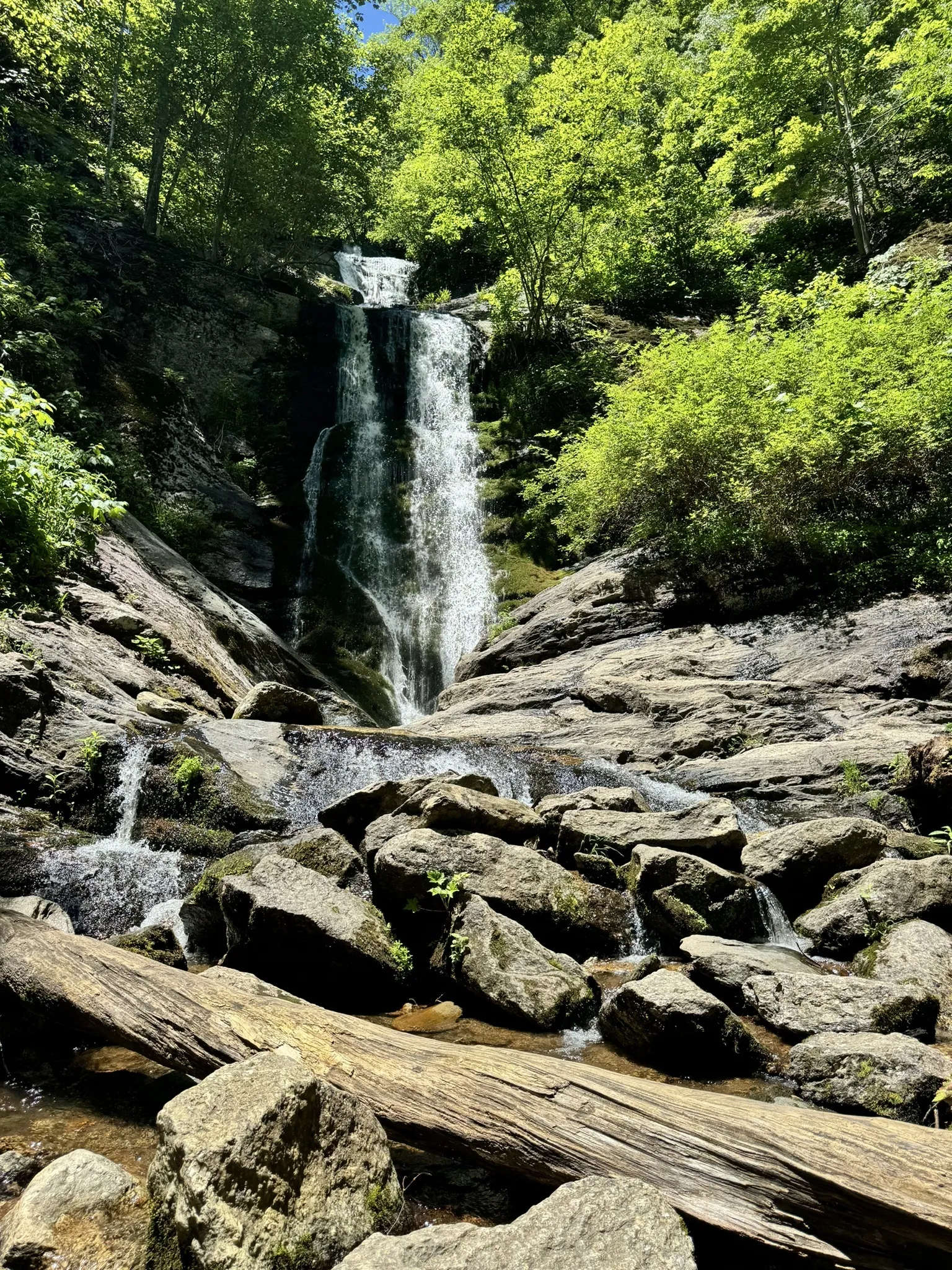 TomsCreekFallsTrail