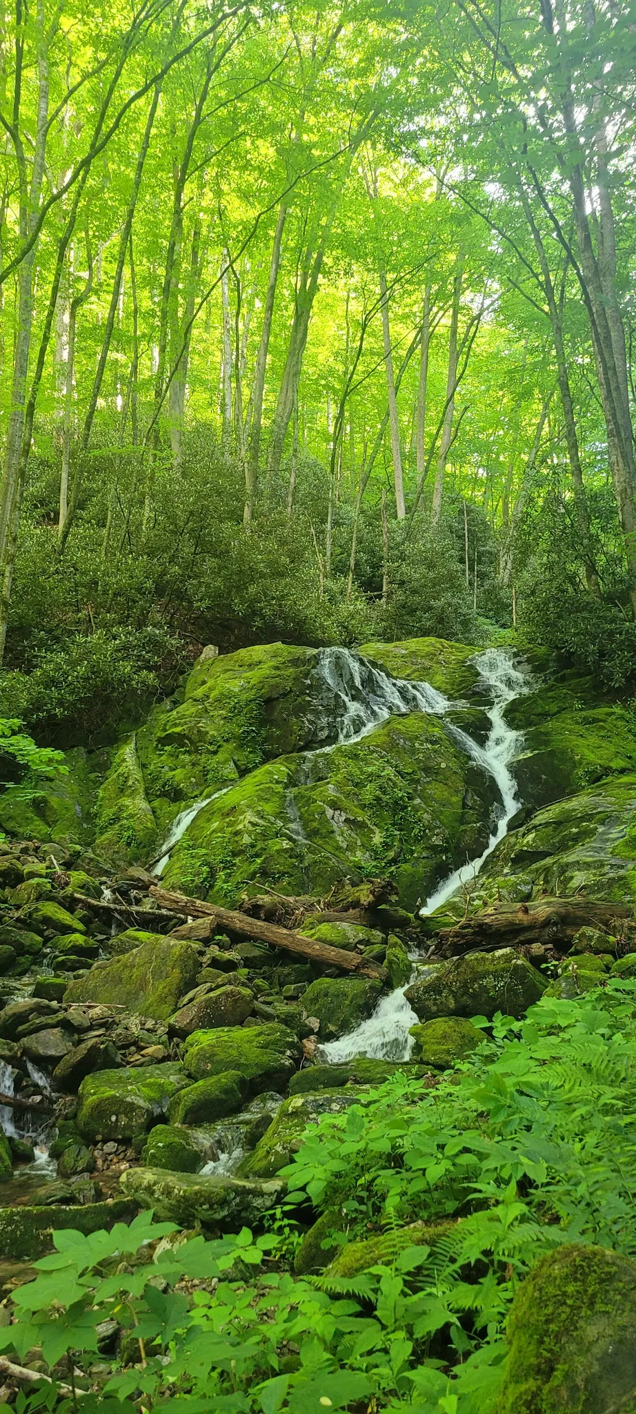 LittleBirdFalls