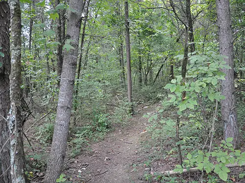 6529533e6aa1713d950f327b clemmer hiking trail ocoee tennessee