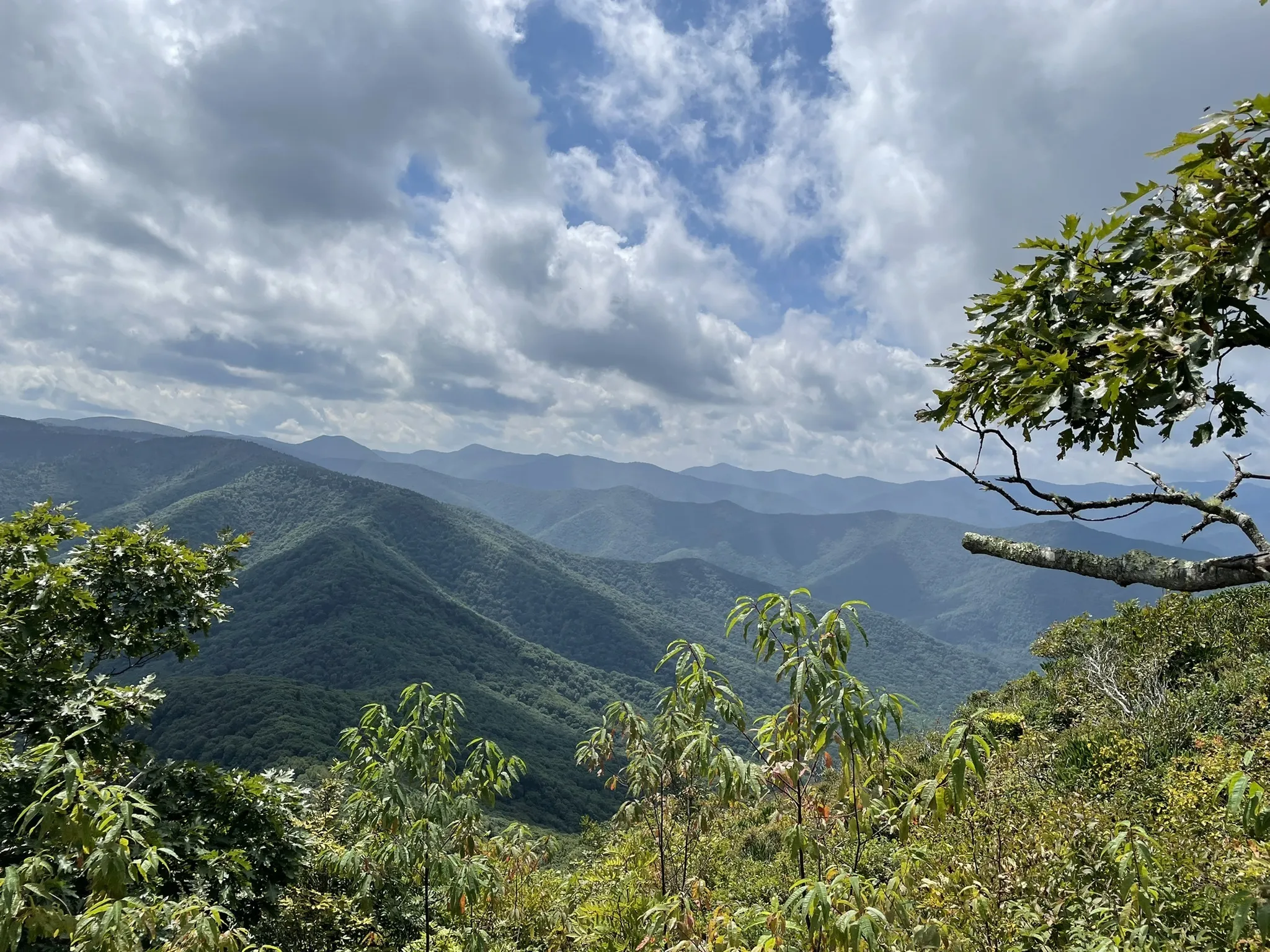 art loebcold mountain Trailhead megan novotny