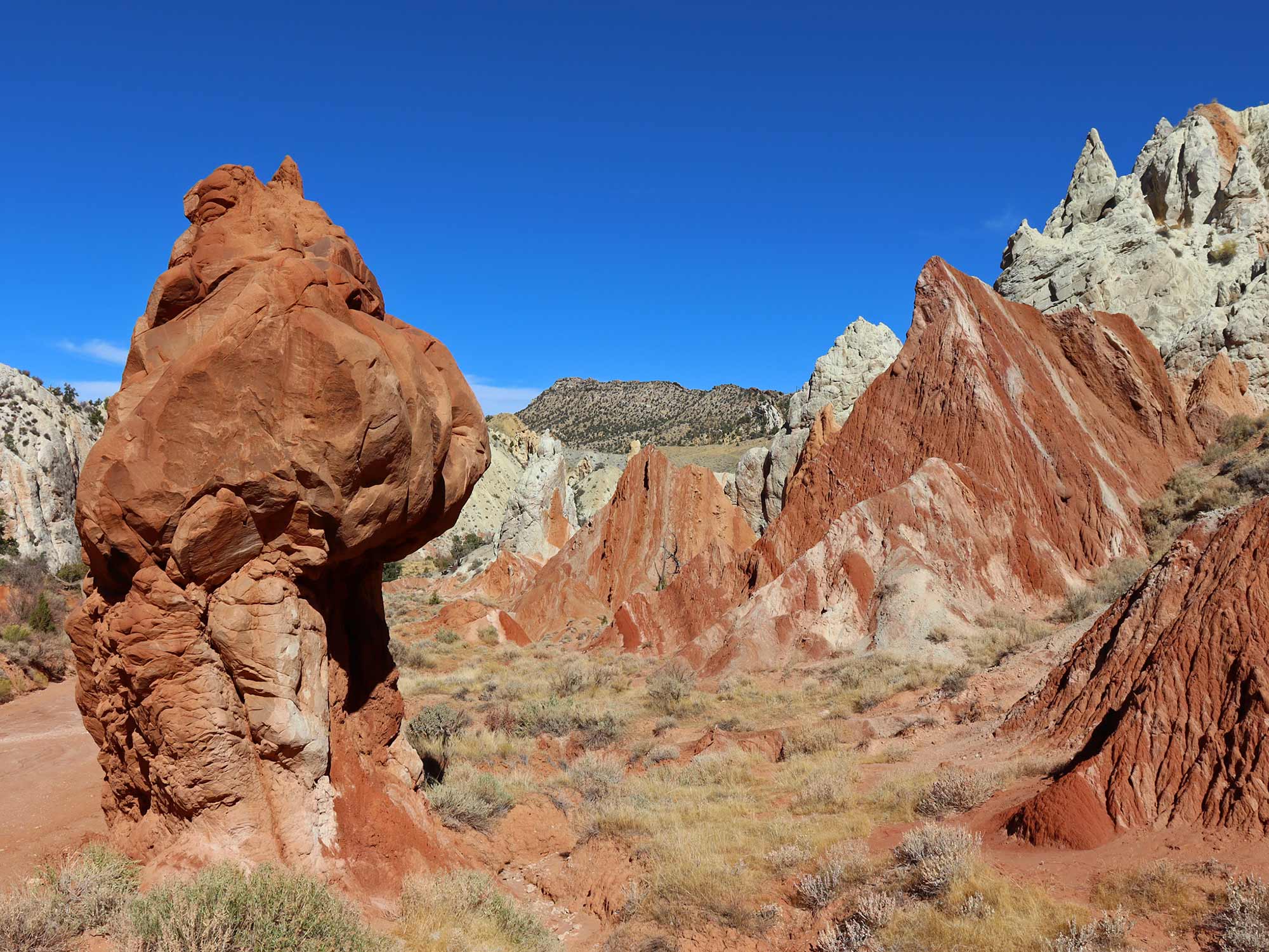 Cottonwood Narrows at Grand Staircase Escalante in UT 4