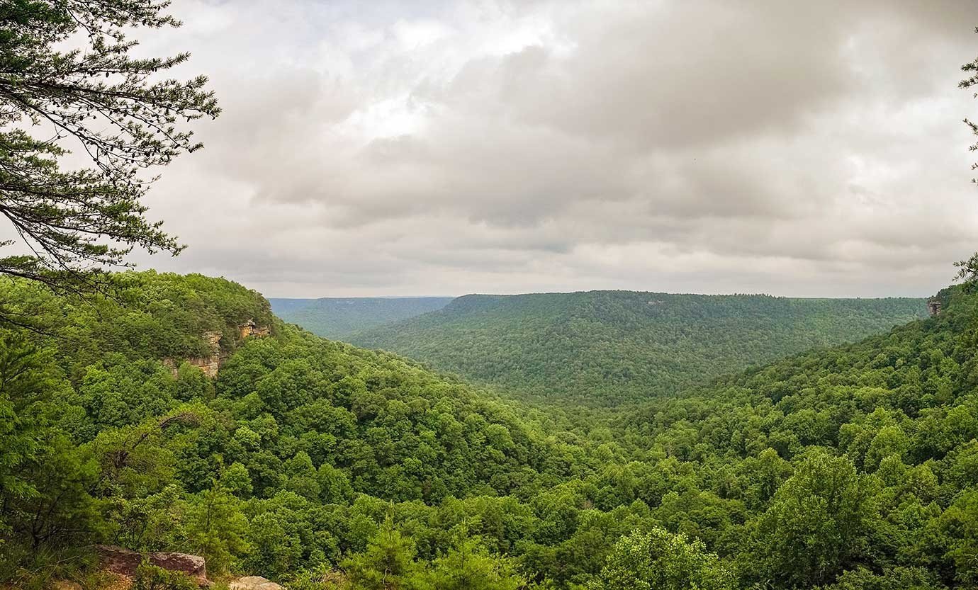 Laurel Trail