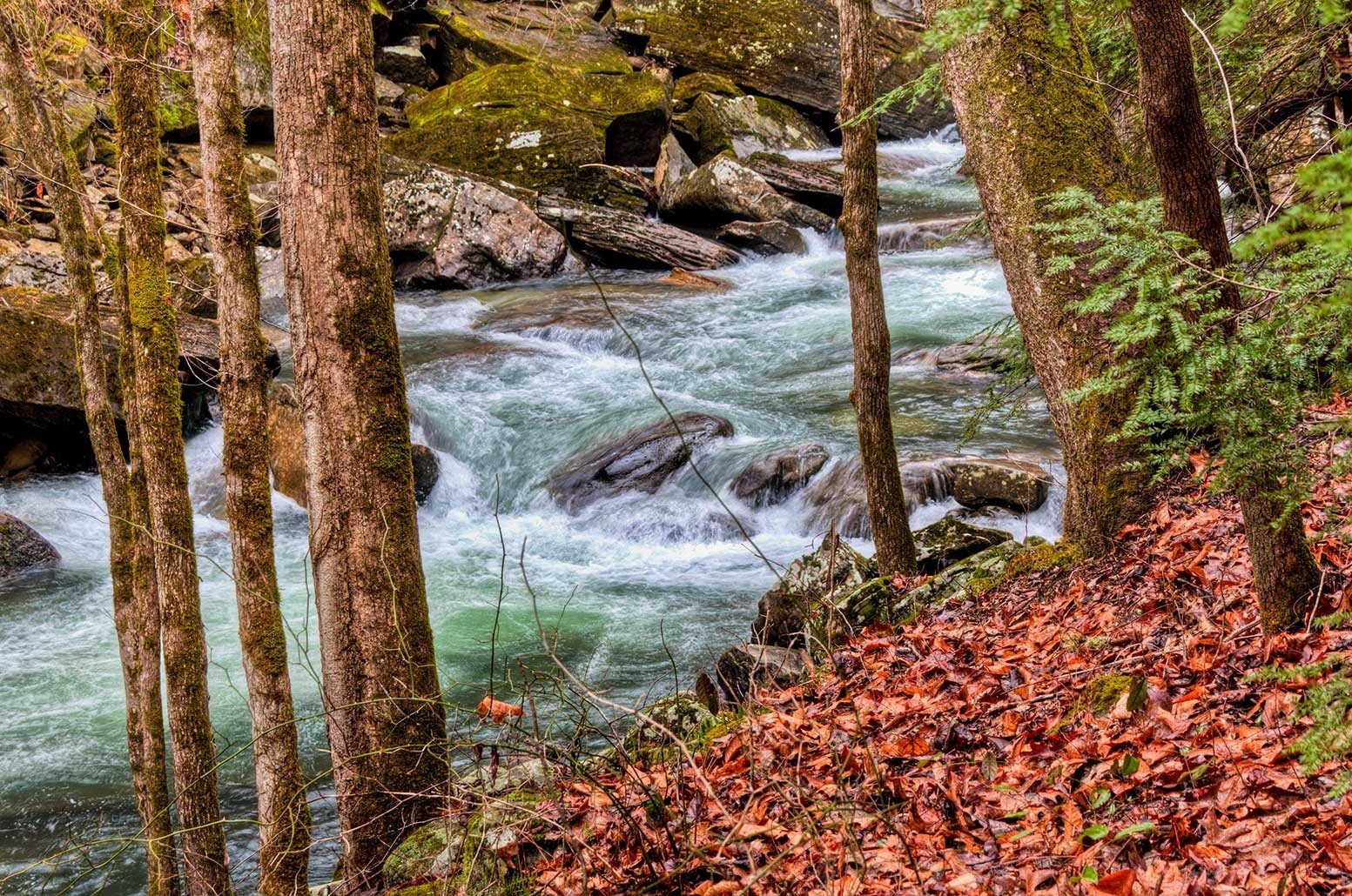 Big Creek Gulf Trail