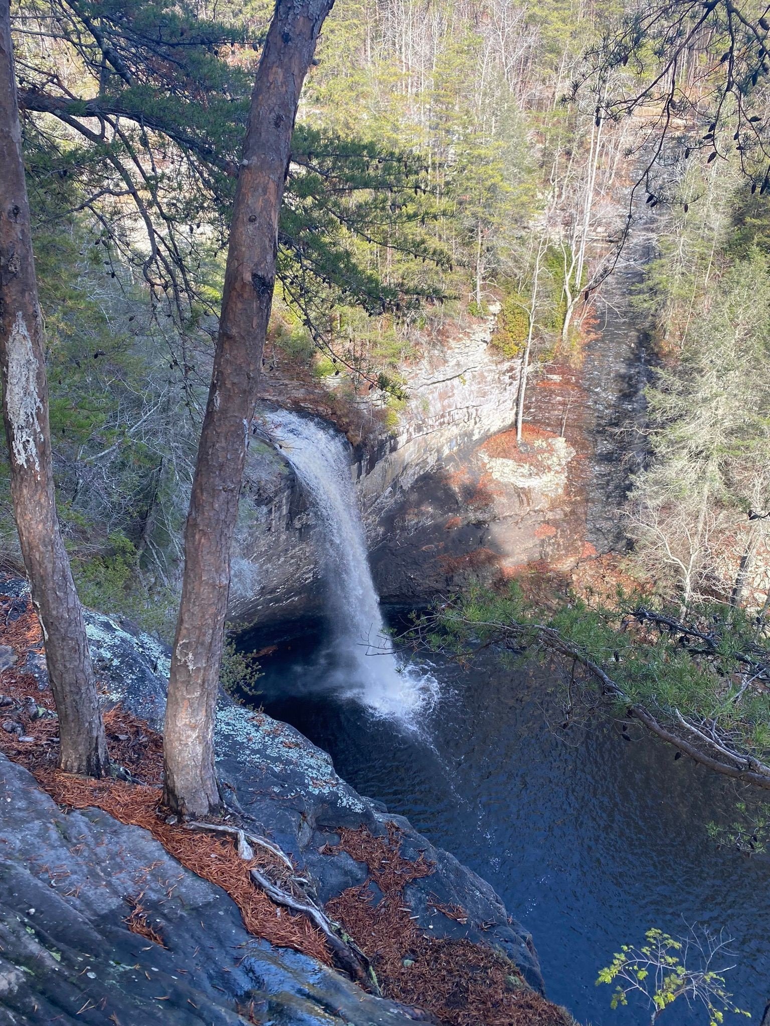 Foster Falls Tennessee